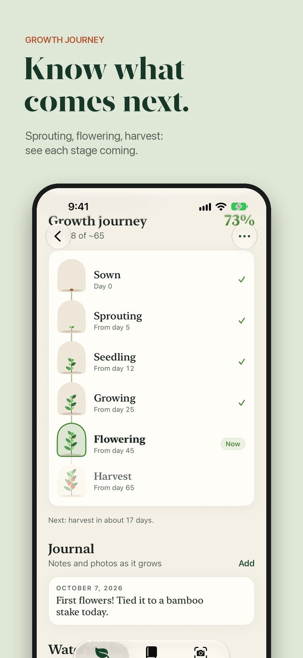 Know what comes next: the growth journey from sowing to harvest
